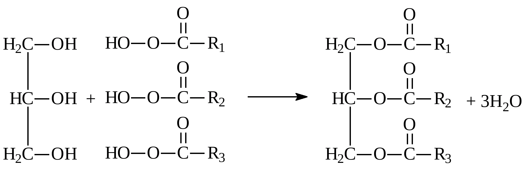 Реакция синтеза жиров. Реакция образования жира. Реакция образования жира из глицерина. Синтез жиров реакции. Реакция получения жиров.