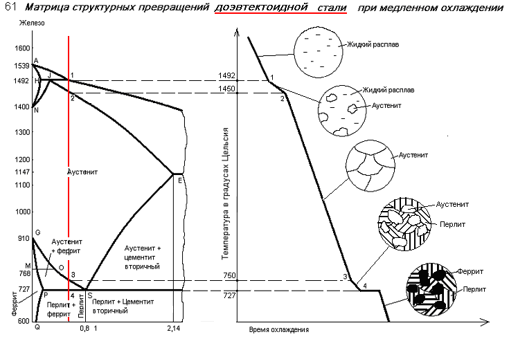 Стали охлаждают. Структура стали у8 после закалки мартенсит + цементит.. Аустенит + цементит + ледебурит схема структуры. Схема охлаждения стали. Микроструктура углеродистых сталей лабораторная работа.