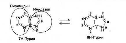 Производные пурина подлинность