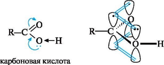 Строение кислот. Пространственное строение карбоксильной группы. Электронное строение карбоновых кислот. Строение карбоновых кислот электронные эффекты. Карбоновые кислоты электронное и пространственное строение..